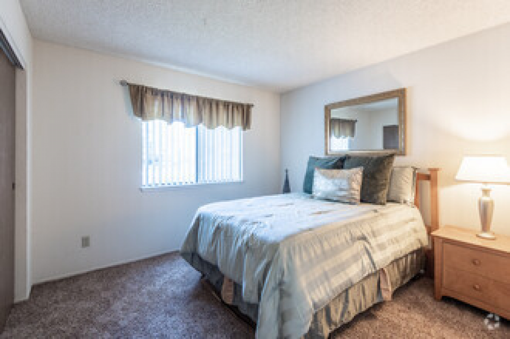 Shieffild 2x1 2nd bedroom
